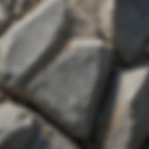 A close-up view of a greyish stone showcasing its texture and mineral composition
