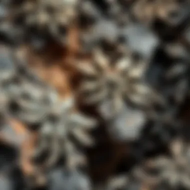 The Intricacies of Volcanic Rock: A Comprehensive Exploration Summary The Intricacies of Volcanic Rock: A Comprehensive Exploration Summary