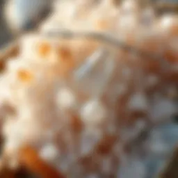 The Multifaceted Nature of Quartz: An In-Depth Exploration Introduction