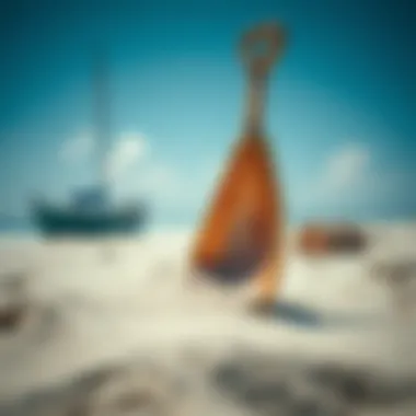 Notable The Multifaceted World of Beach Scoops Notable The Multifaceted World of Beach Scoops