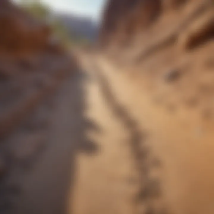 Dinosaur tracks preserved in Utah's rock layers
