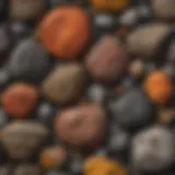 A striking close-up of a large volcanic rock showcasing its unique texture and color variations.