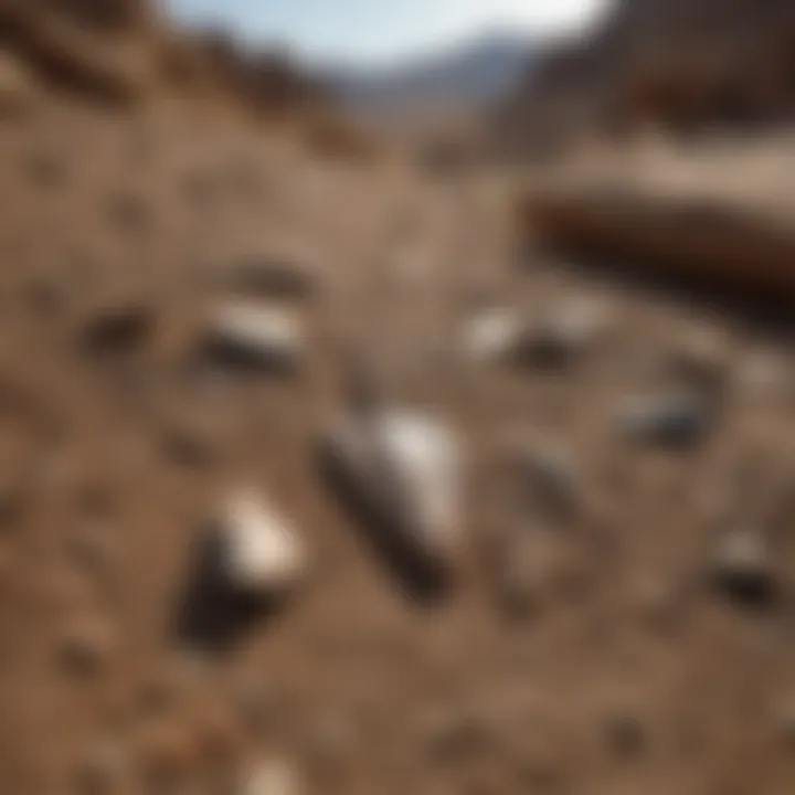 An archaeological site where arrowheads are found