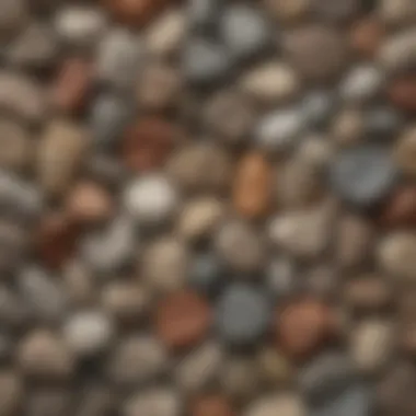 Diverse Rock Samples Collected with Precision Various rock samples collected using a small rock hammer.
