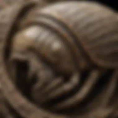 Intricate Trilobite Exoskeleton Detail Detailed Close-Up of Trilobite Exoskeleton in Delta Utah