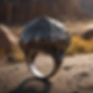 Enchanting Collectors: The Allure of the Tucson Ring Meteorite Collectors' Delight: Tucson Ring Meteorite Appeal