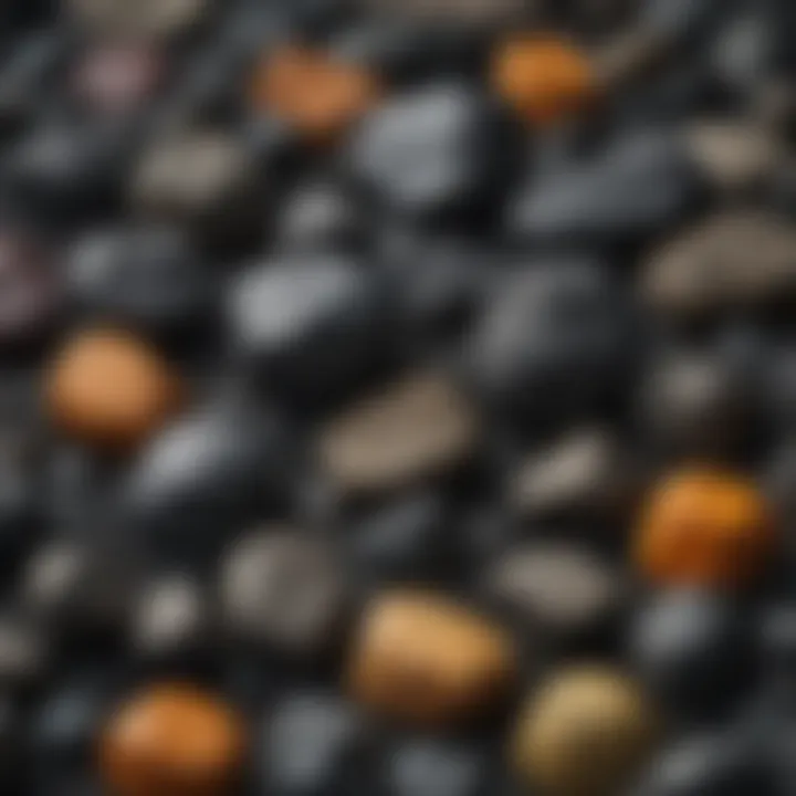 Image of coal samples illustrating their various textures and colors within the black spectrum.