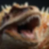 Tyrannosaurus Rex teeth under microscope