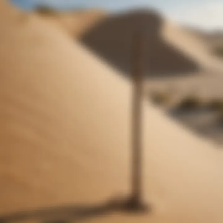 Sleek wooden walking stick with sand dune carving