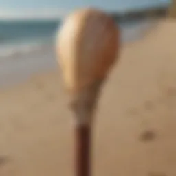 Elegant walking stick with seashell handle