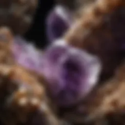 A mesmerizing close-up of the raw amethyst crystals within an uncut geode