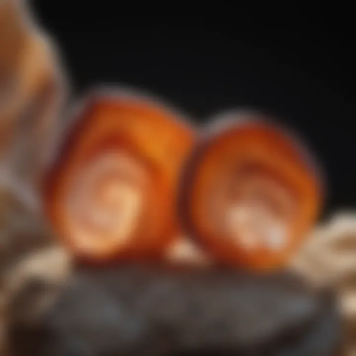 Comparative image highlighting agate quality attributes such as translucency and clarity
