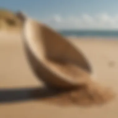Ergonomic Design of Sand Scoops Side view of a well-designed beach sand scoop in use
