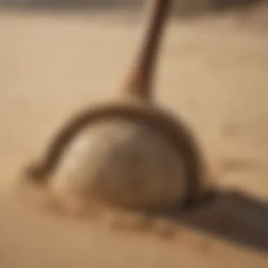 Maintenance Tips for Longevity Close-up of the maintenance techniques for beach sand scoops