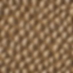 A selection of beach sand scoops made from different materials