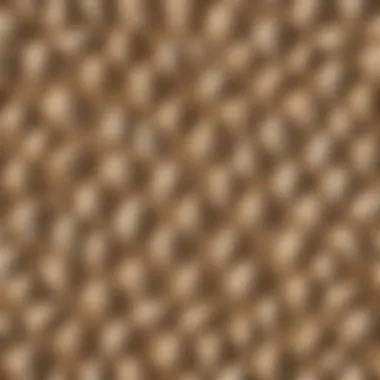 A selection of beach sand scoops made from different materials