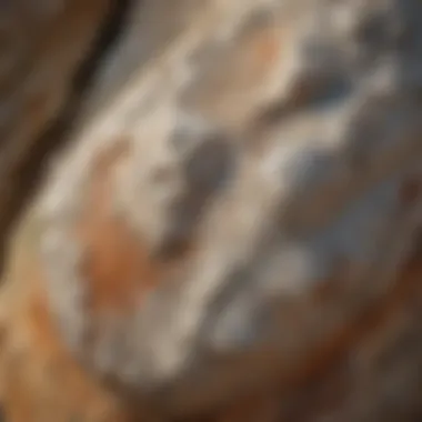 Close-up view of caliche rock showcasing its unique texture and mineral composition.