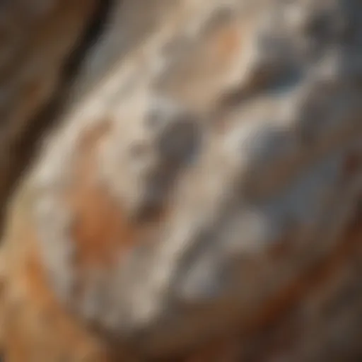 Close-up view of caliche rock showcasing its unique texture and mineral composition.