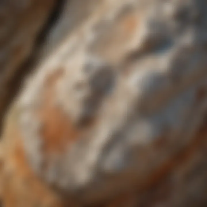 Close-up view of caliche rock showcasing its unique texture and mineral composition.