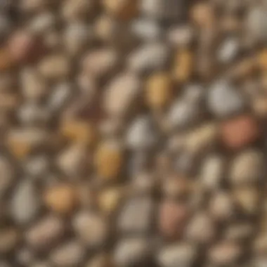 Samples of different caliche rock variations displayed in a natural setting.