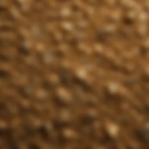 Close-up view of gold paydirt showcasing texture and composition