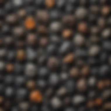 Diverse Meteorite Collection A collection of various meteorite types displayed elegantly on a dark surface
