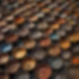 A detailed view of various types of mining pans used for geological collection.