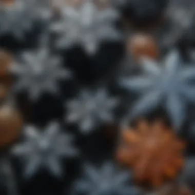 Types of Obsidian An illustration depicting various types of obsidian, including snowflake, rainbow, and black obsidian, each with distinct characteristics.