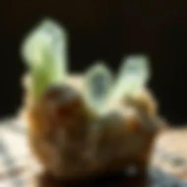 Notable Understanding Pale Green Crystals: Characteristics and Significance Notable Understanding Pale Green Crystals: Characteristics and Significance