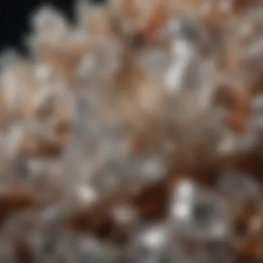 Magnified view of quartz inclusions under a microscope