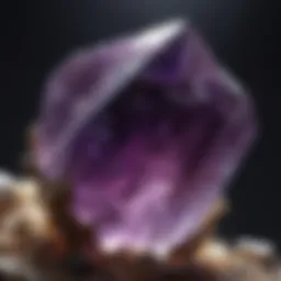A sparkling amethyst crystal showcasing its vibrant purple hues