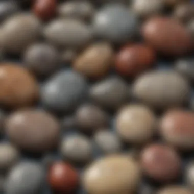 A collection of polished Petoskey stones showcasing their beauty