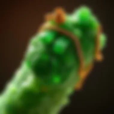 Notable Understanding the Price of Malachite: A Comprehensive Analysis