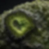 Close-up view of a piece of moldavite highlighting its unique texture and color