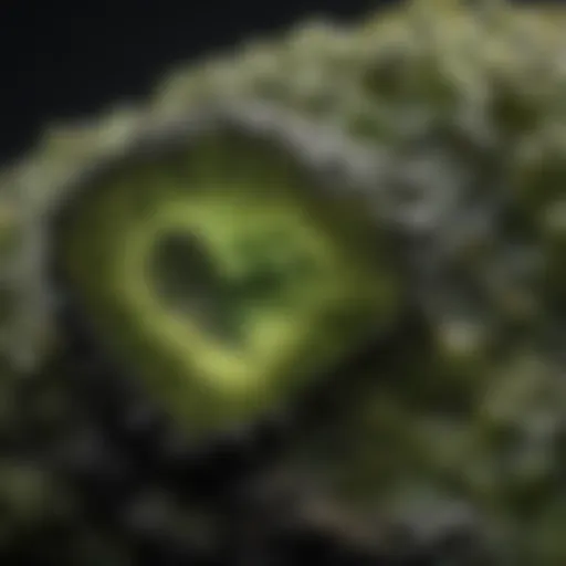 Close-up view of a piece of moldavite highlighting its unique texture and color