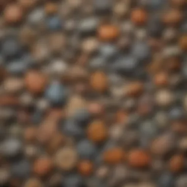 A vibrant collection of rocks and fossils displayed artistically.