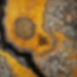 Unique Patterns of Bumble Bee Jasper Rough