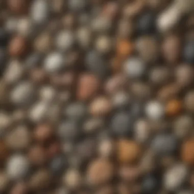 Collection of bulk palm stones showcasing unique textures