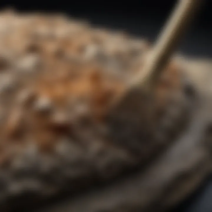 Soft-bristled brush gently cleaning a fossil discovery