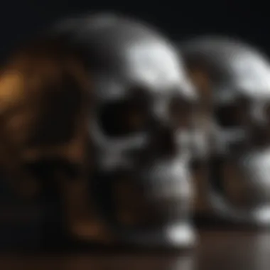 Crystal Skulls Shadows