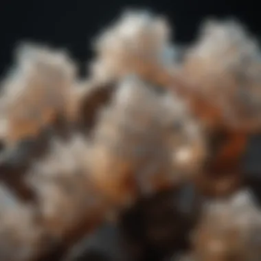 Crystal Clusters Sparkling in Natural Daylight Crystal Clusters Sparkling in Natural Daylight