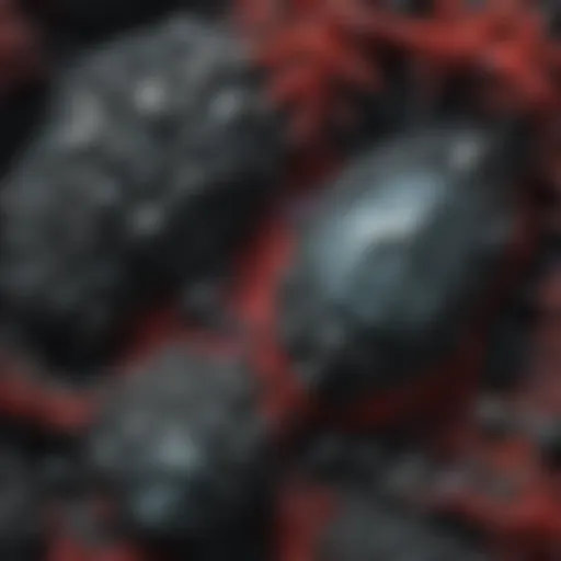 A striking close-up of carborundum stone under microscope