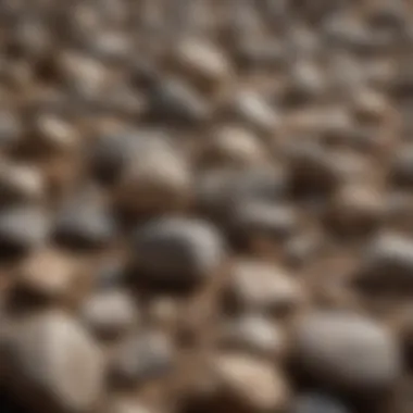 Assortment of Raw Rocks for Tumbling Variety of Rough Rocks for Tumbling