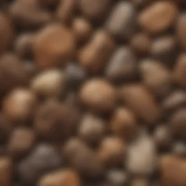 Comparing various shades of smooth brown rocks