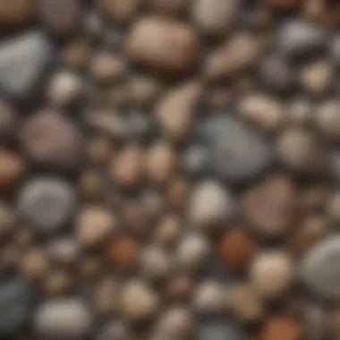 Diverse Rock and Fossil Collection Collection of various shaped geological specimens