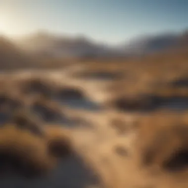 Vast Desert Landscape in California