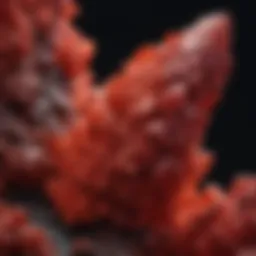 Vibrant Cinnabar Mineral Specimen
