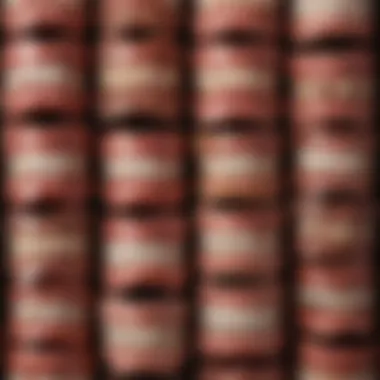 Unique Vintage False Teeth Collection Close-up of unique vintage false teeth on a decorative background