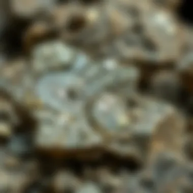Where to Sell Meteorites: A Comprehensive Guide Summary