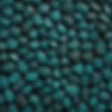 Vivid turquoise stones displayed on black velvet